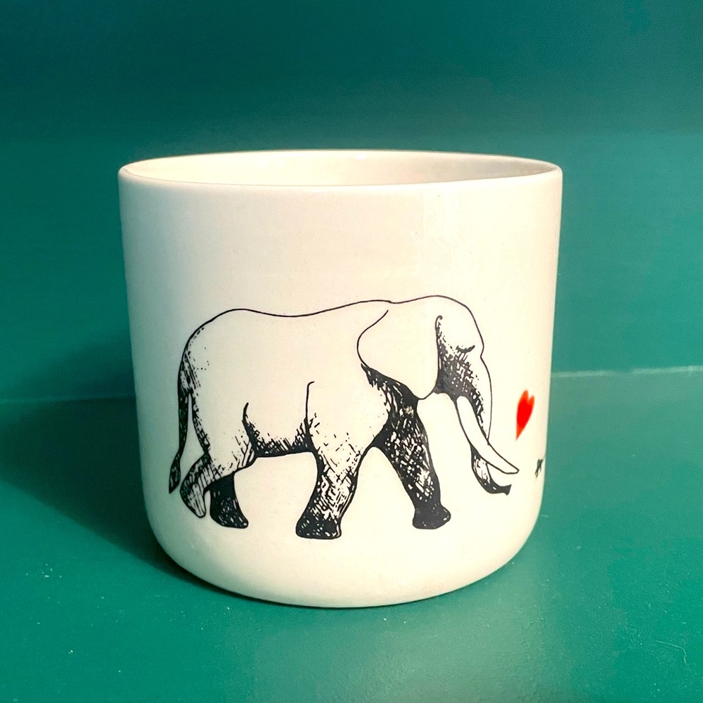 Super cute elephant planter